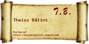 Theisz Bálint névjegykártya